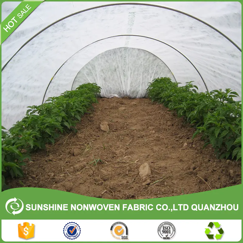 Anti-UV treatment pp spunbond nonwoven fabric agriculture cover/pp spunbond tunnel greenhouse