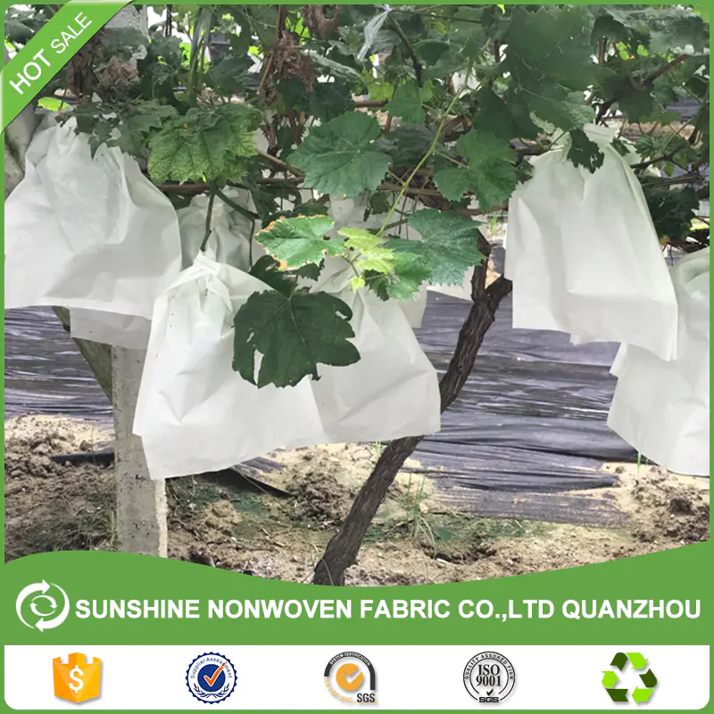 Agricultural pp spunbond nonwoven fabric /agriculture ground cover for plant,flower,fruit protection