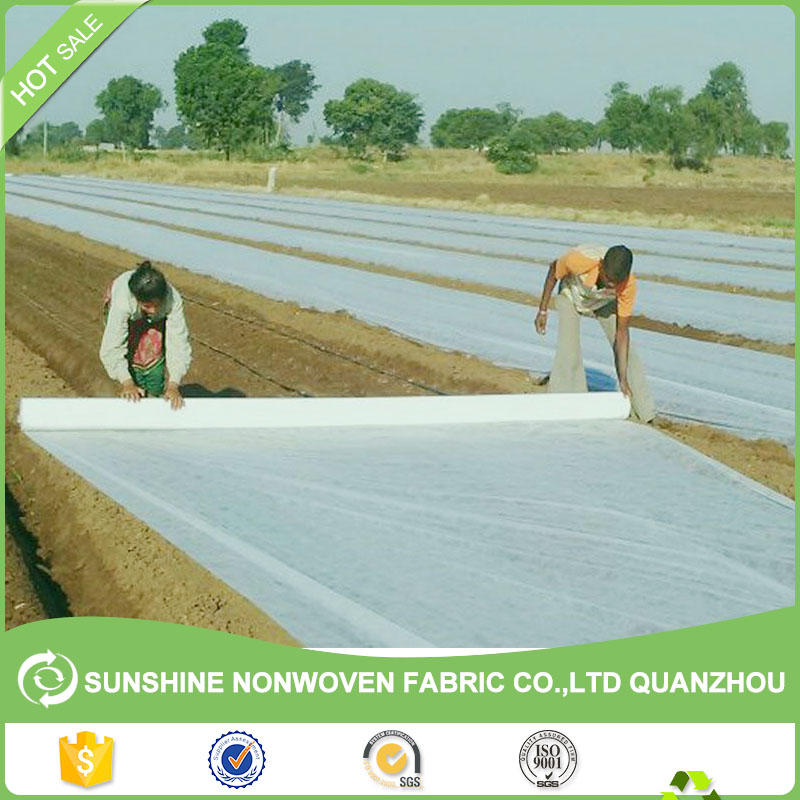 1%-5% UV Stabilized PP Spunbond Non-woven agriculture covers,agricultural mulch film