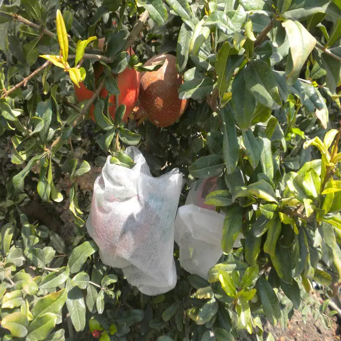 Anti 1-3% UvPp Non Woven Fruit Control CoverBag, Tnt Polypropylene NonWoven Fabric Fruit Protection Bags