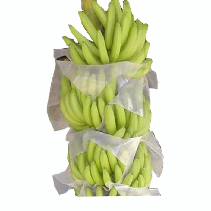 Anti 1-3% UvPp Non Woven Fruit Control CoverBag, Tnt Polypropylene NonWoven Fabric Fruit Protection Bags