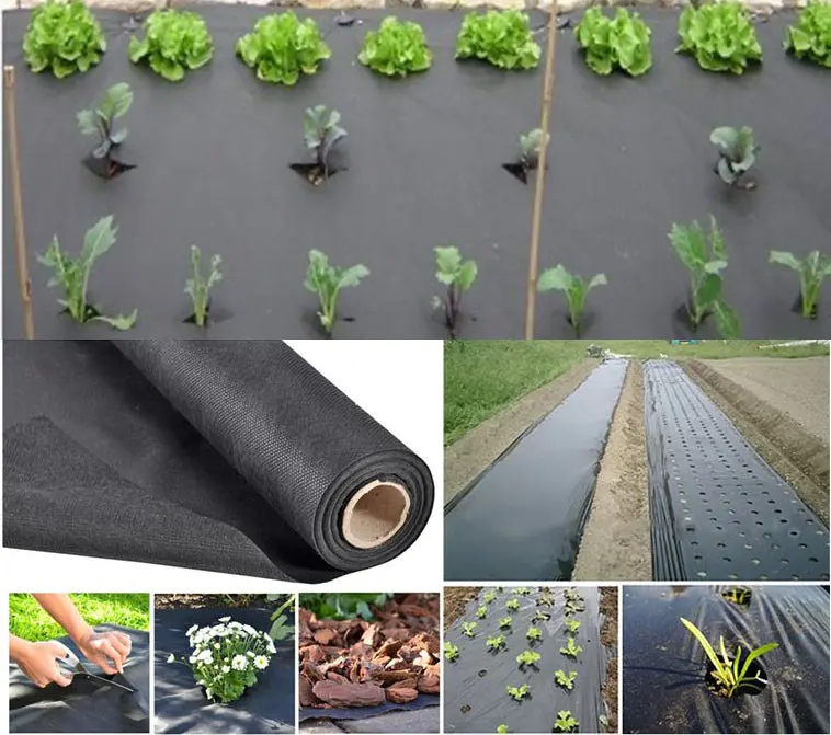 100% PP agril Nonwoven weed control Fabric Weed Barrier