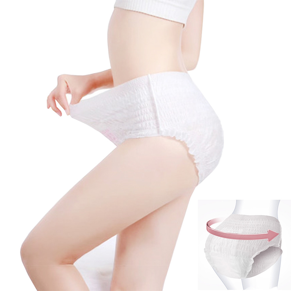 Disposable Sanitary Pad In Panty, Menstrual Period Panties