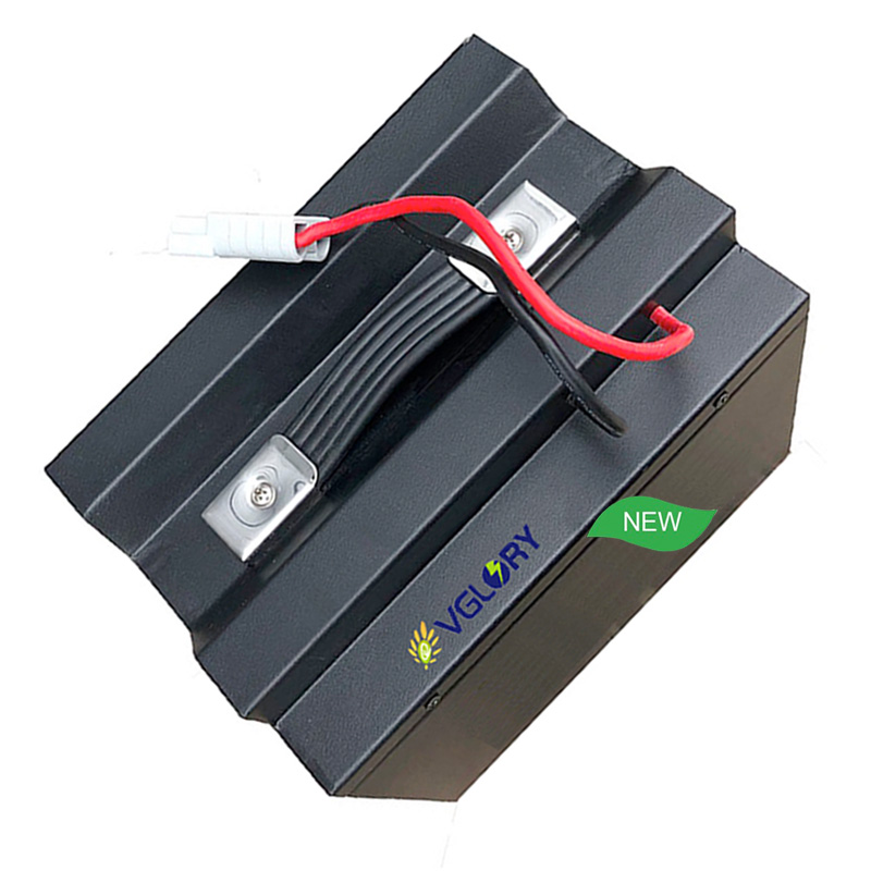 48v 20ah Drone Diy 60v Nominal Voltage And Customized Lithium 1000w Citycoco Fast Charging Battery