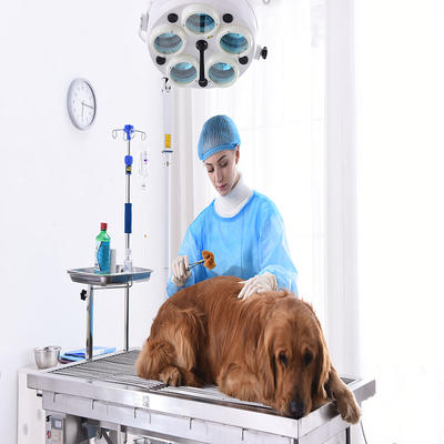 Medical Vet Surgery Table Veterinary Operating Table Equipment