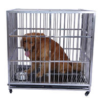 Full Welding Dog Cage Plastic Flooring Metal Dog Show Cage
