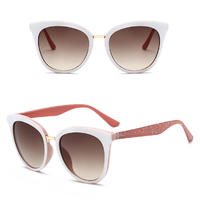 Fashion Promotion Small Cat 3 UV400 Women Cheap Plastic 2019 Sunglasses