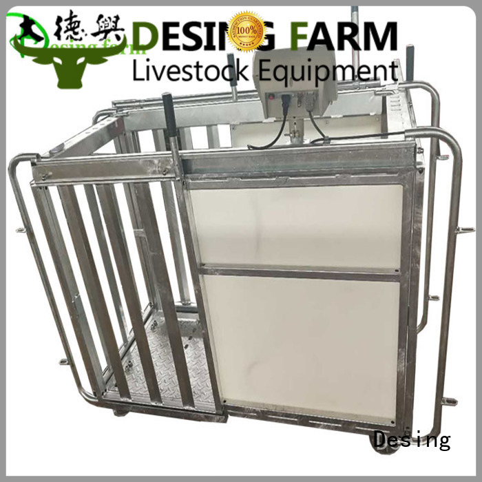Desing best workmanship sheep handling system factory direct supply favorable price