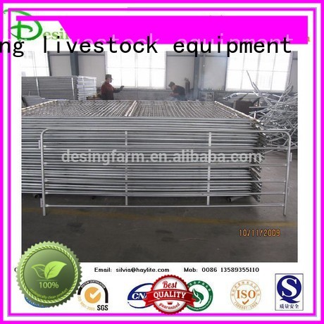 Desing sheep handling system factory direct supply for wholesale