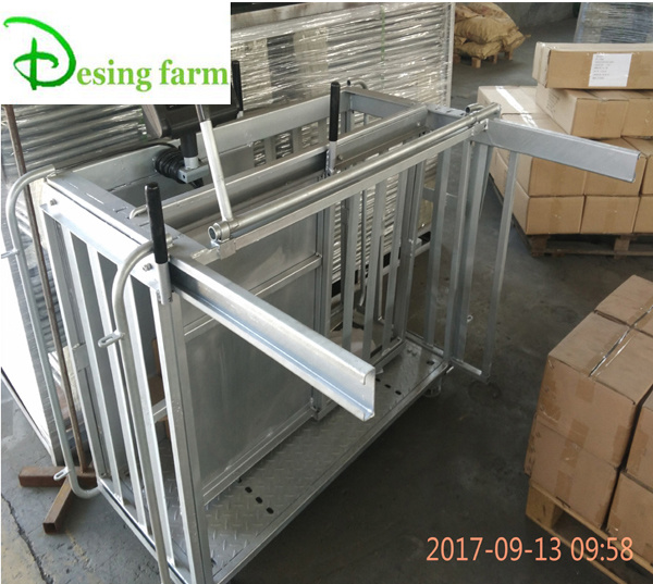 galvanized metal sheep weighing scales factory price