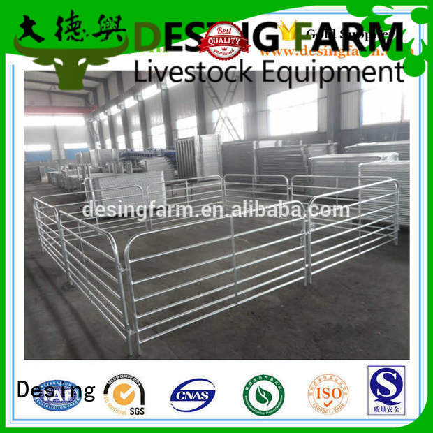 Desing sheep equipment adjustable favorable price