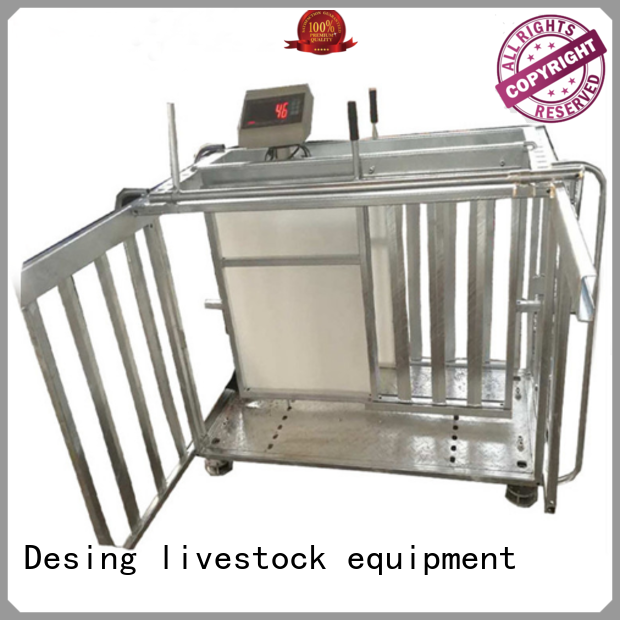 best workmanship sheep handling system factory direct supply favorable price