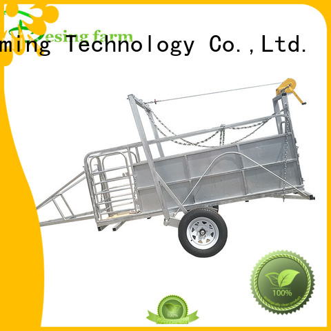 Desing sheep loading ramp factory direct supply favorable price