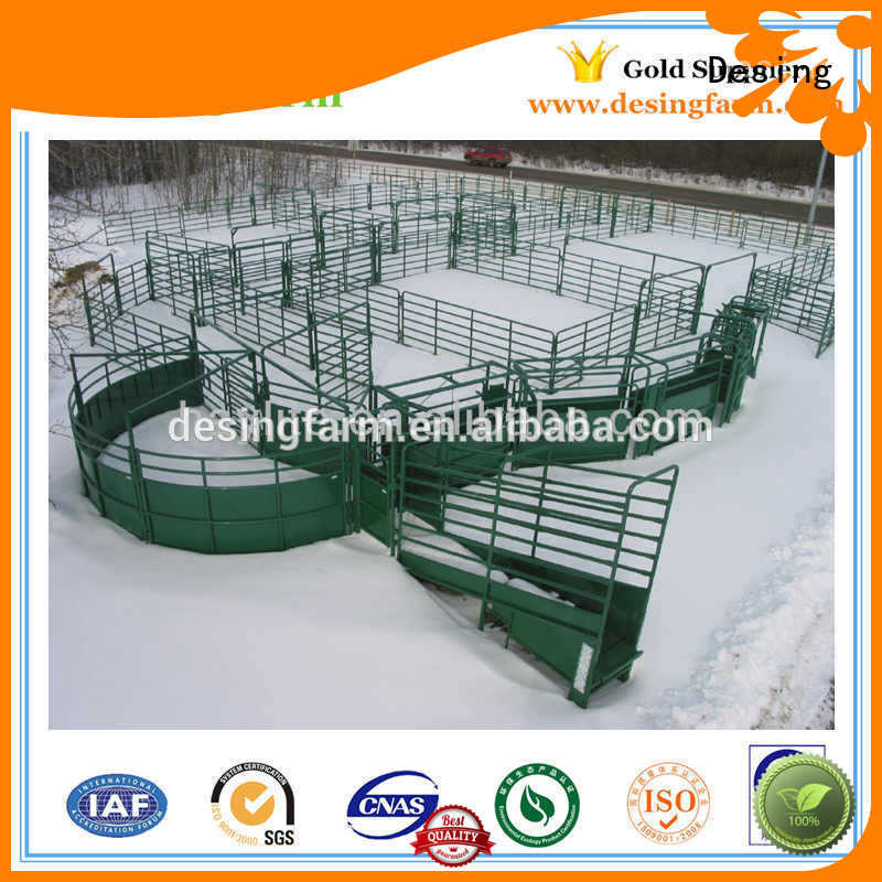 Desing sheep shower factory direct supply for wholesale