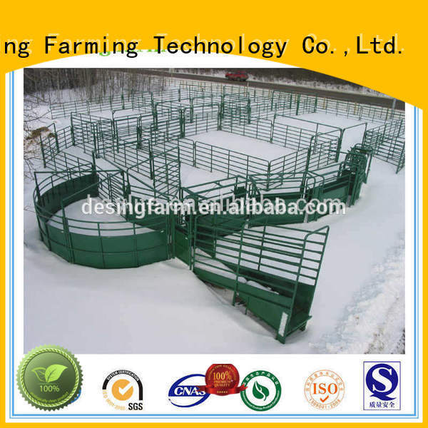Desing sheep handling system hot-sale favorable price
