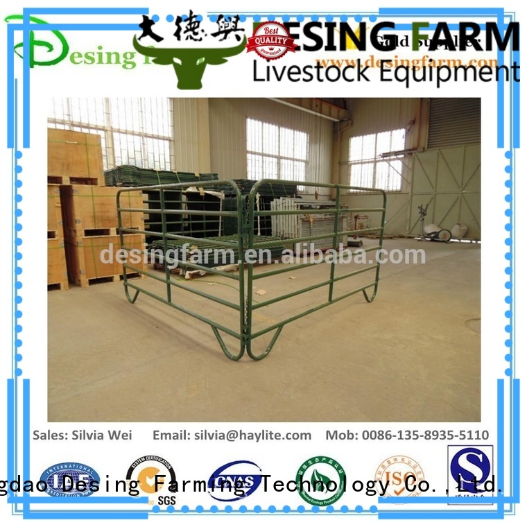 Desing horse stable easy-installation quality assurance