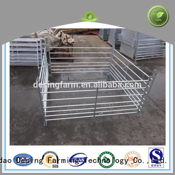 Desing sheep equipment factory direct supply for wholesale