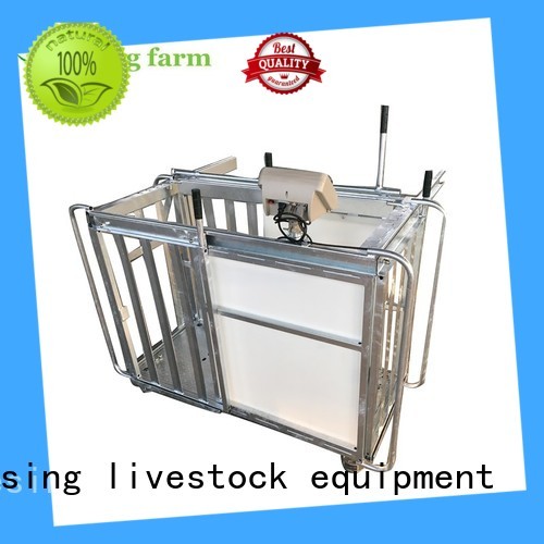 Desing well-designed livestock scales hot-sale favorable price