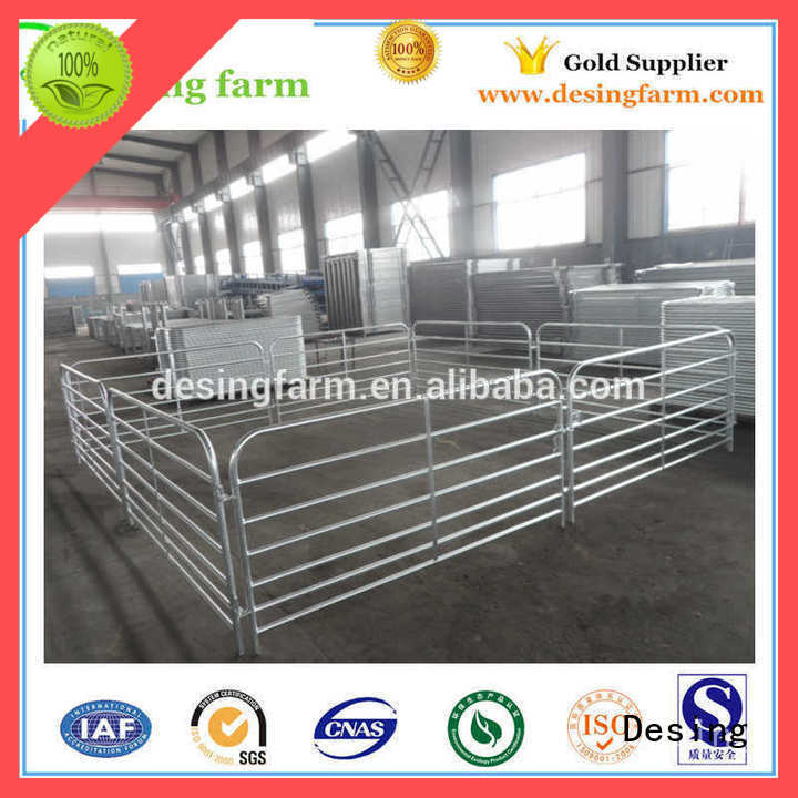 Desing sheep equipment hot-sale favorable price
