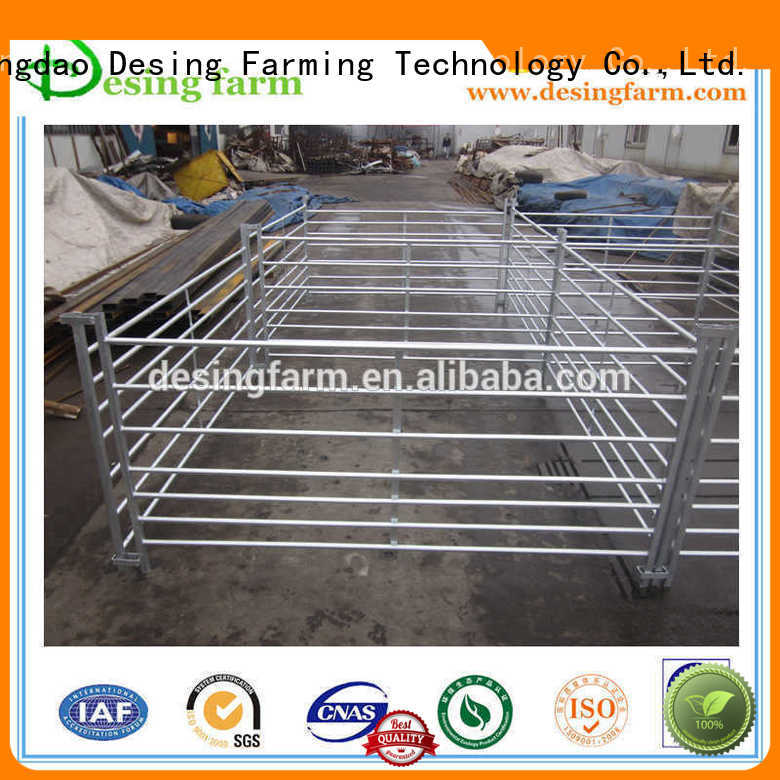 custom sheep v race factory direct supply for wholesale