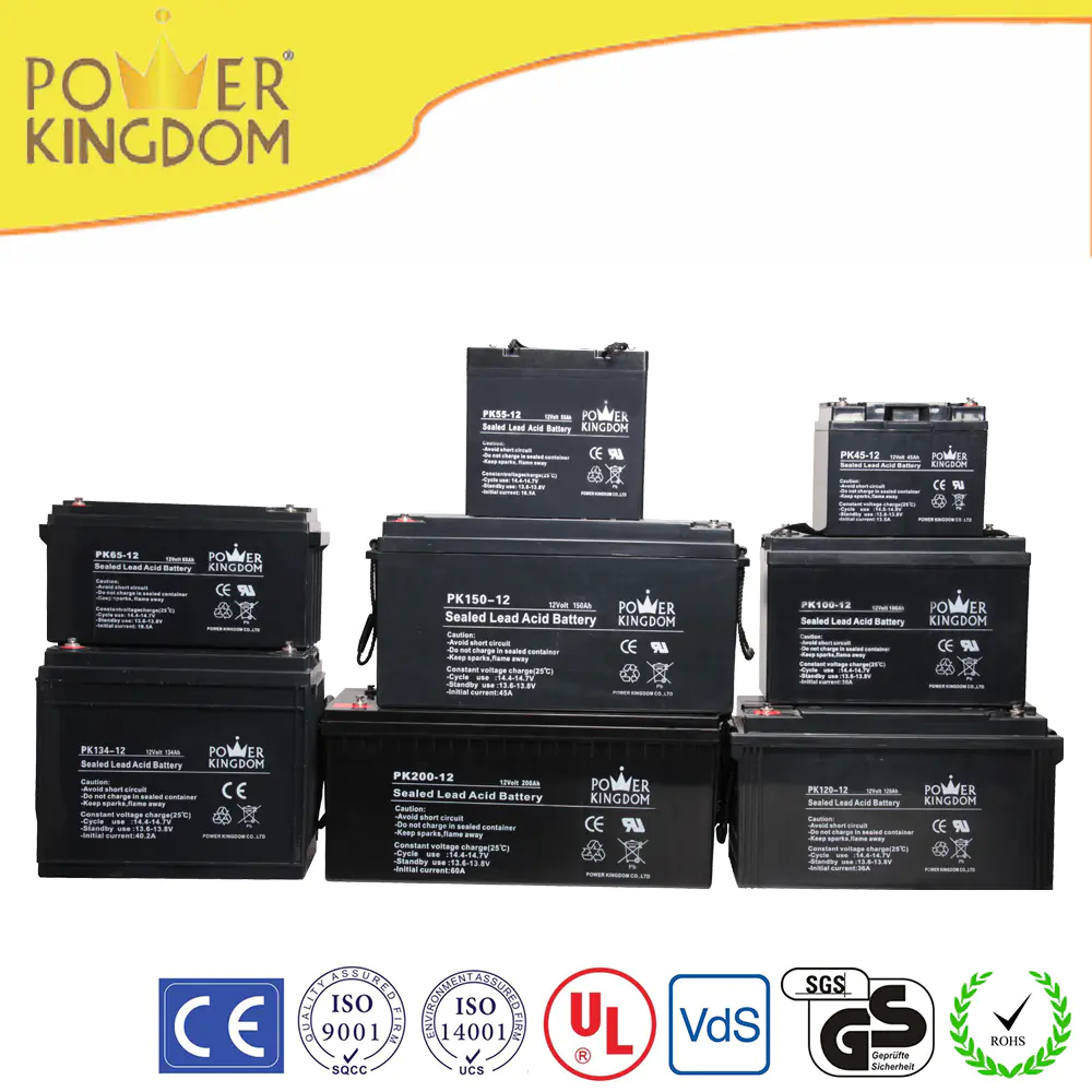Power Kingdom high rate series 4.5ah 12v sealed lead acid battery