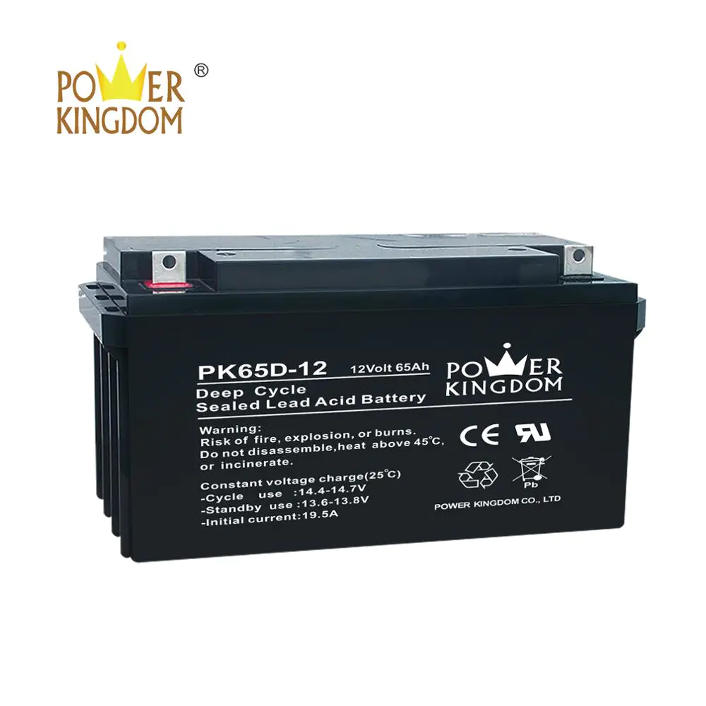 12V 65Ah 12V VRLA Deep Cycle Battery Made In China