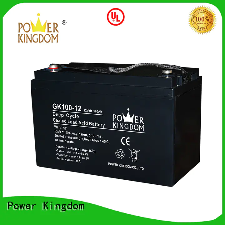 Power Kingdom rechargeable sealed lead acid battery with good price medical equipment