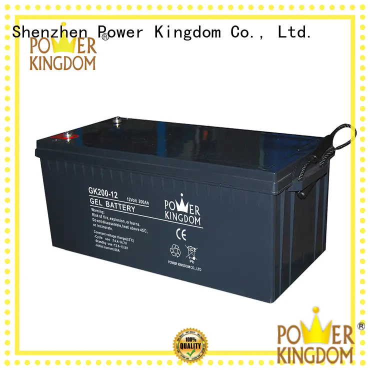 Power Kingdom rechargeable sealed lead acid battery factory medical equipment