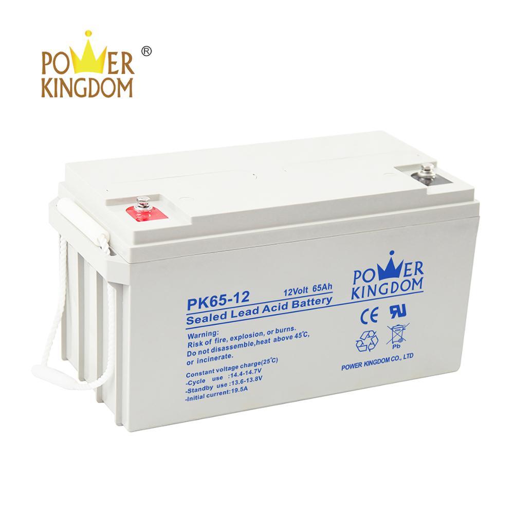 Power Kingdom Batteries 12V 65Ah Storage Battery for UPS