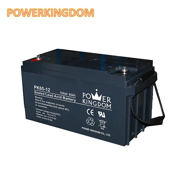 Powerkingdom solar energy storage battery/lead acid battery 6v/12v 65AHbattery for solar system