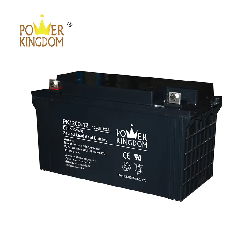 Power Kingdom 12v deep cycle battery