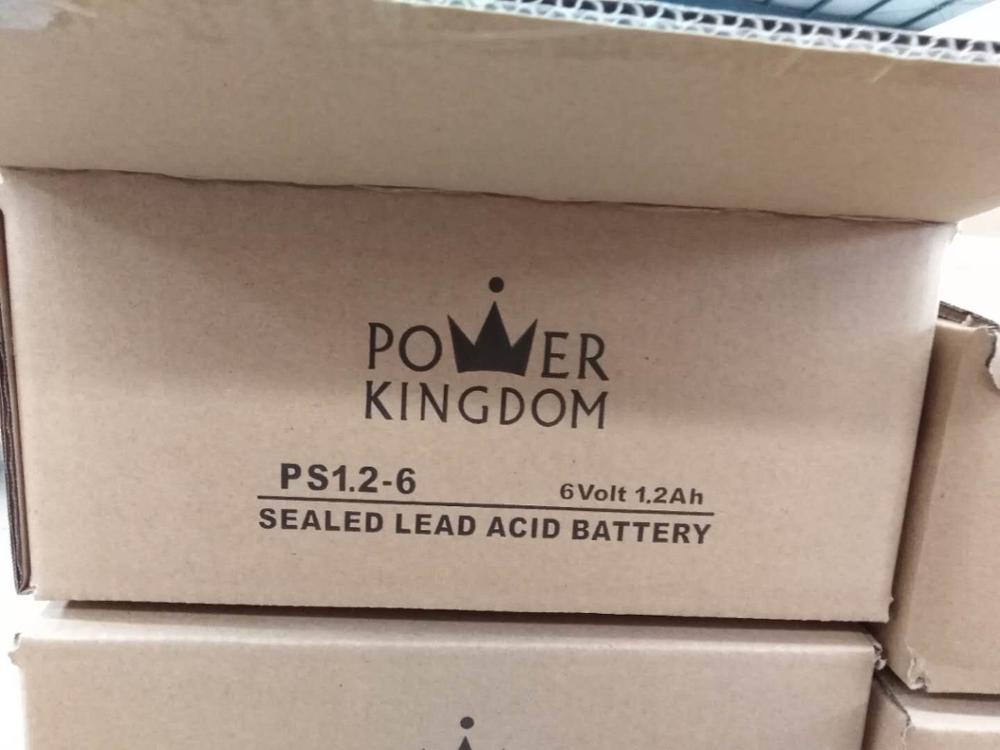 Power kingdom 12v lead acid UPS storage lead acid battery