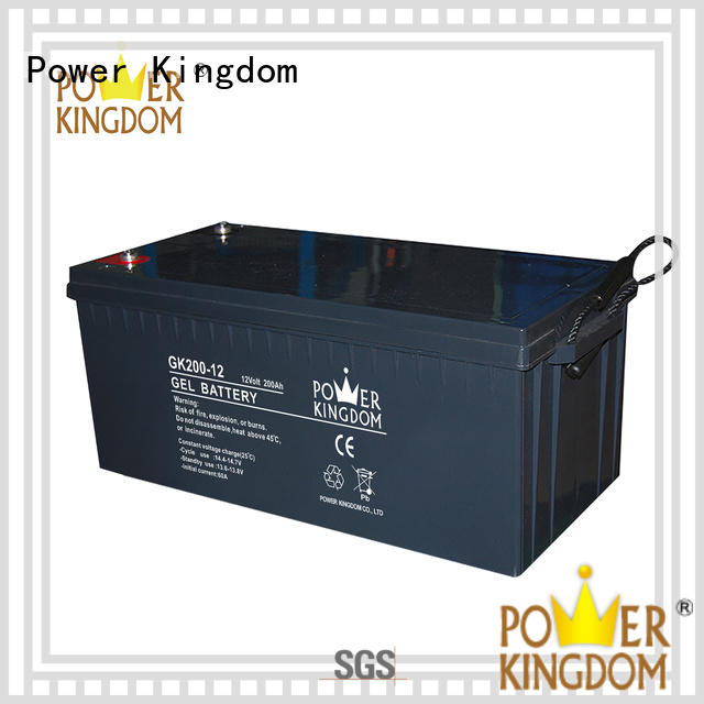 Power Kingdom high consistency rechargeable sealed lead acid battery design medical equipment