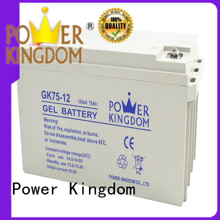 Power Kingdom 12v lead acid battery with good price medical equipment
