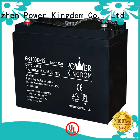 Power Kingdom 12v lead acid battery design medical equipment