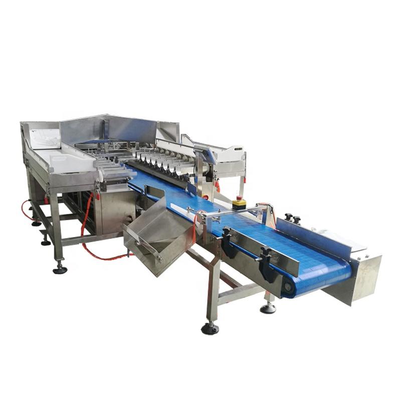 CE Automatic Frozen Fish Fillet/Seafood 18 Head Linear Combination Weigher/Multihead Weigher