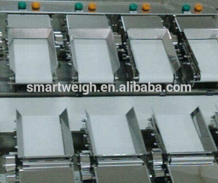 SW-LC12 CE approved Onion/Potato linear weigher with weighing