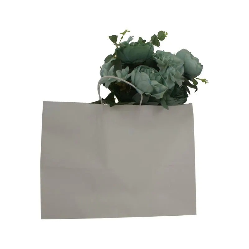 2019 Attractive style kraft paper package bag rope handle kraft paper bag