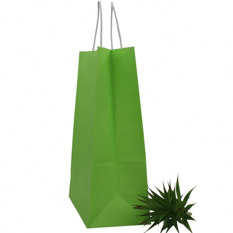 Trendy style custom paper bag kraft wholesale small kraft paper bag