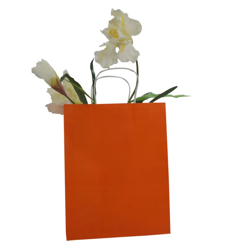 Top selling kraft gift paper bag workmanship kraft paper bag with logo