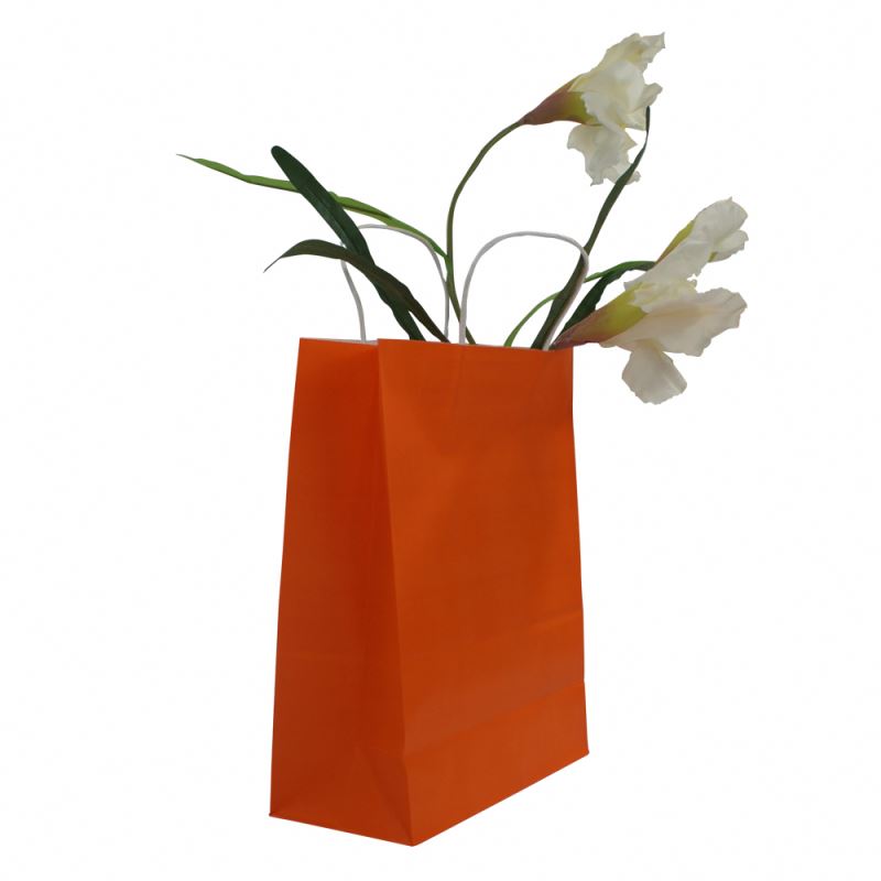 Newest selling natural kraft paper bag wonderful kraft paper gift bag