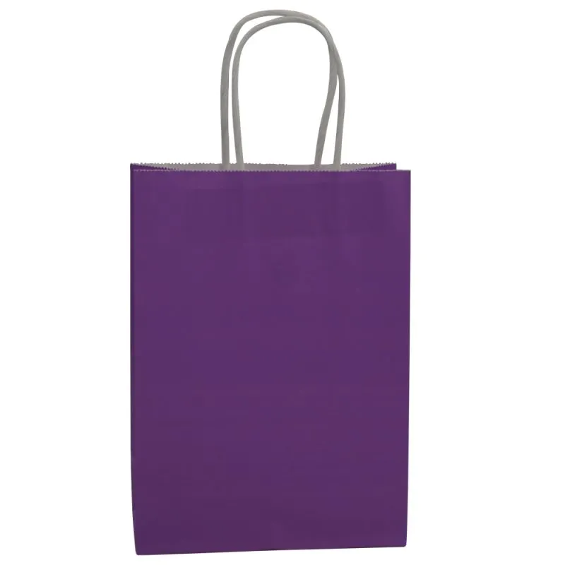 Custom Recyclable Printed High Quality Packaging Kraft Paper Bag With Twisted Handles