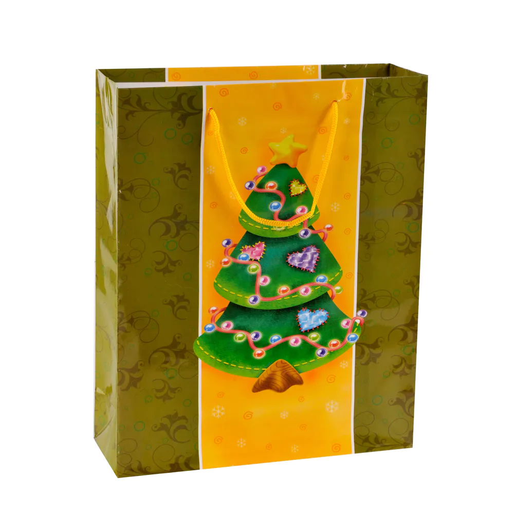 2019 New Uesable Durable Celebration Christmas Series Color Gift Paper Bag