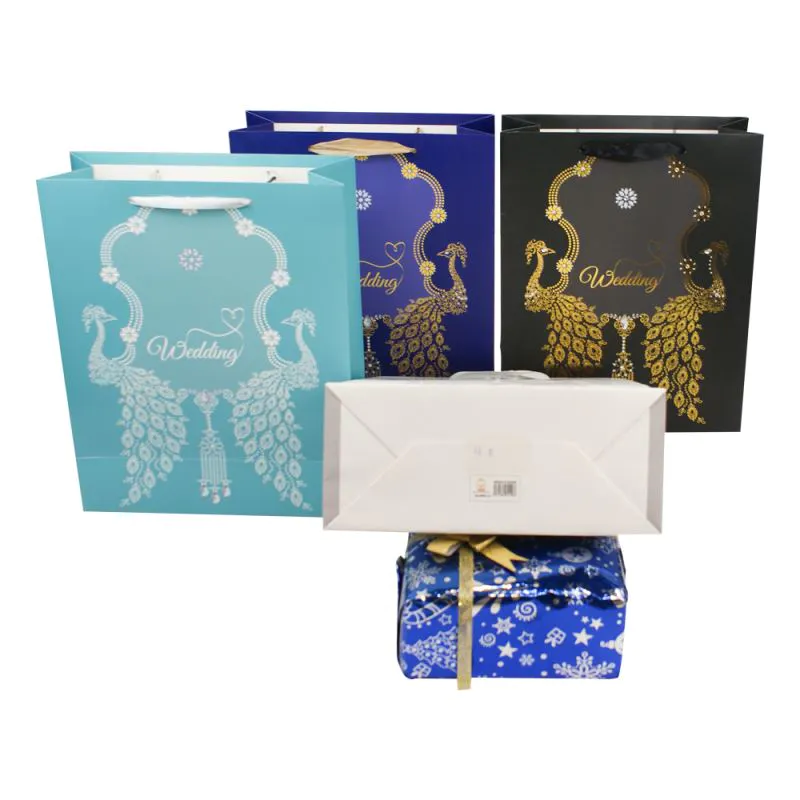 New arrived colour paper gift bag fashionable shopping gold stamping craft paper bag