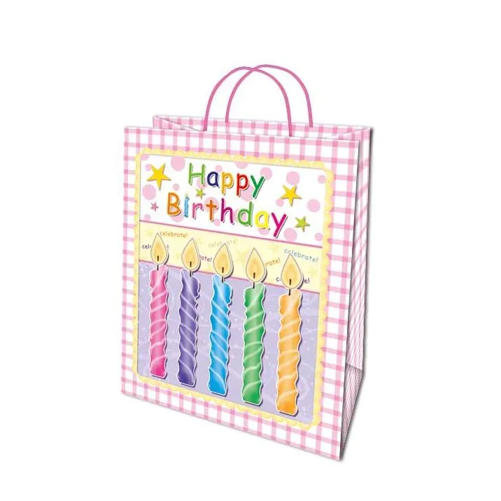 Custom Small Grid Attractive Offset Printing Gift Paper Bags With Pink Drawstring
