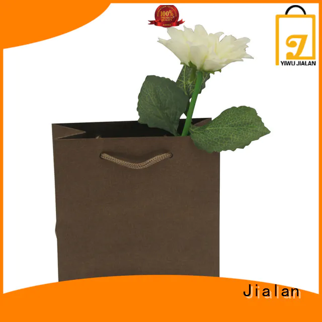 Jialan Eco-Friendly paper carrier bags needed for packing gifts