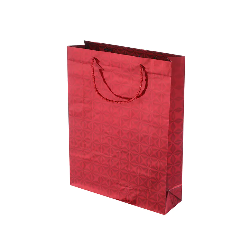 Jialan Package large holographic gift bags vendor for gift shops