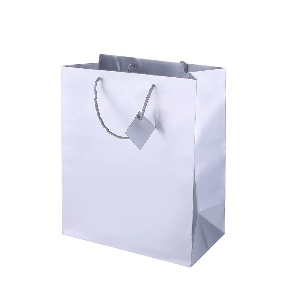 High Quality Custom Logo Printing Reusable Foldable Paper Gift Bag