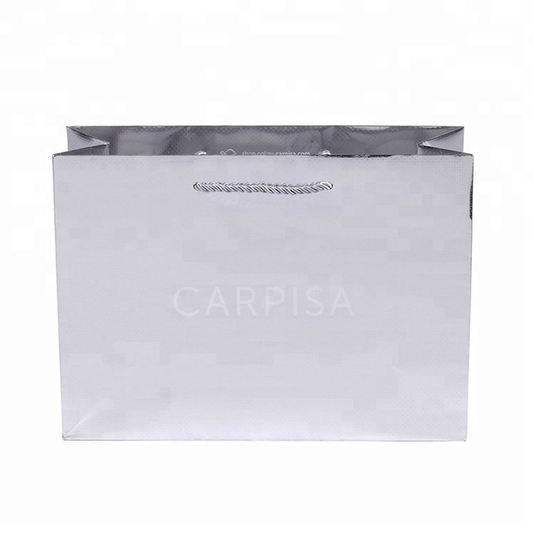 2019 Nouveau design simple de luxe recyclable de luxe double poignée de papier sacs de transport