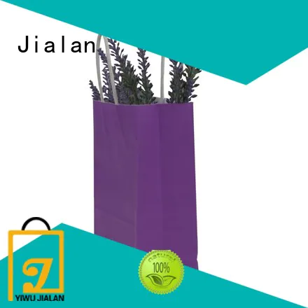 Jialan paper bag manufacturer for packing birthday gifts